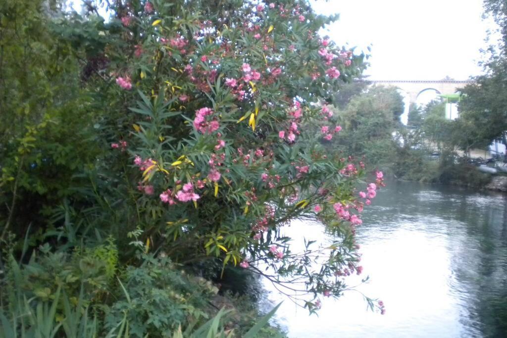 A De Vaucluse *